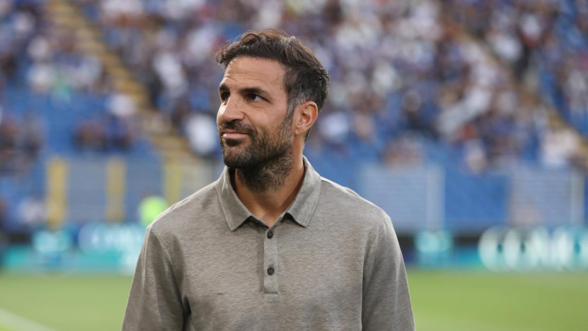 Como Lazio, gli ultimi dubbi di Fabregas e Sarri in vista della sfida del Sinigaglia Como Lazio, gli ultimi dubbi di Fabregas e Sarri in vista della sfida del Sinigaglia