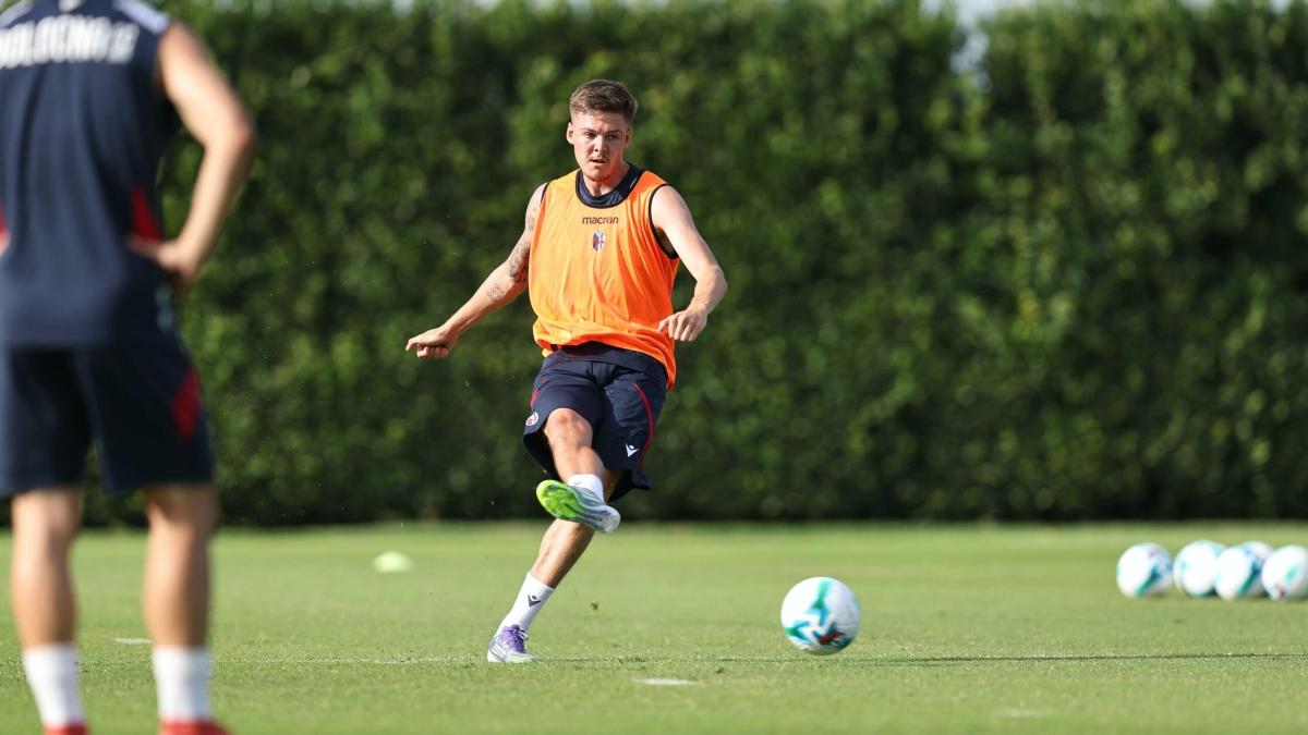 Bologna, Holm verso il rientro: già contro il Salisburgo potrebbe andare in panchina