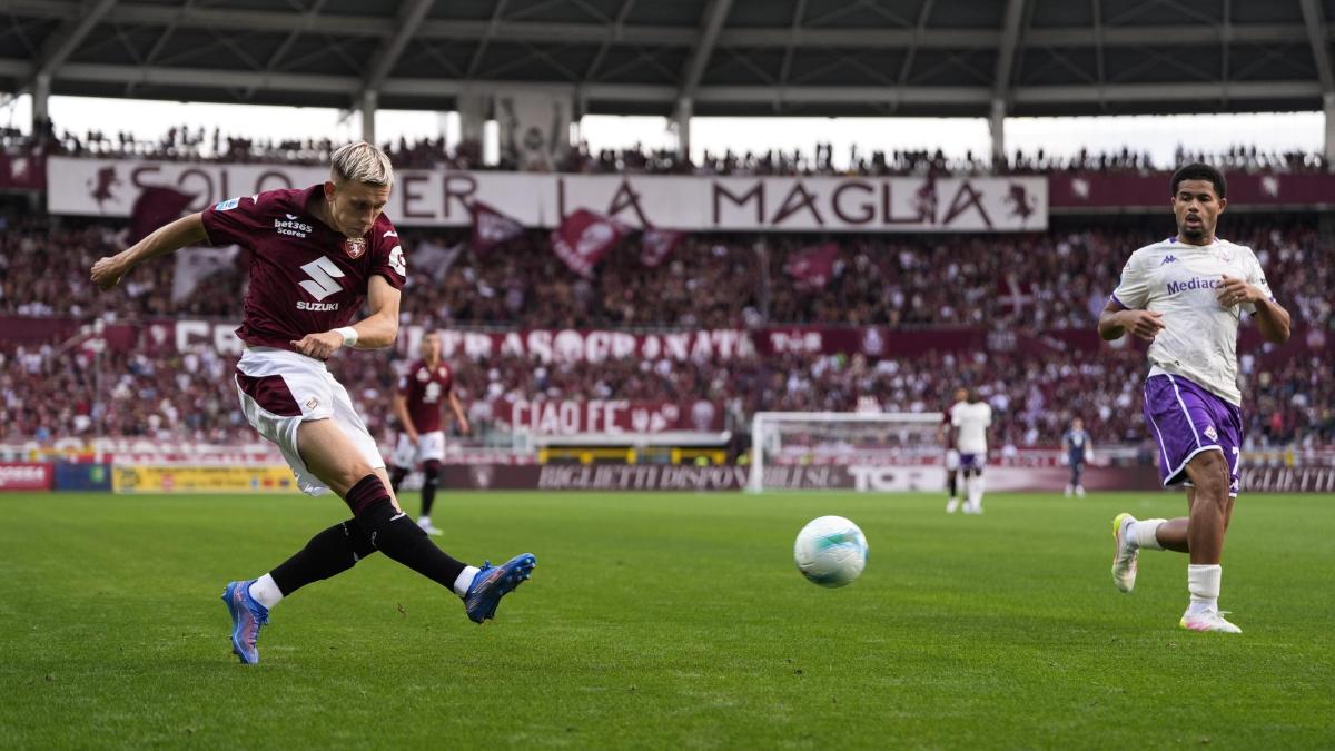 Toro, il gioco passa dalle fasce: con Pedersen e Nkounkou Baroni ritrova la spinta giusta