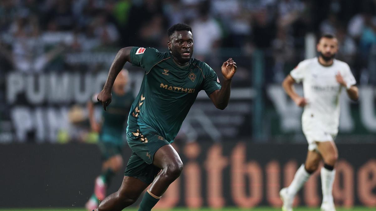 il pensatore boniface la mucca e la carota e il sospiro di sollievo di allegri