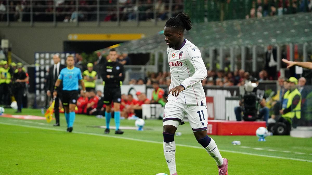 Bologna-Napoli, le formazioni ufficiali: Italiano con Dallinga, Conte punta su Hojlund