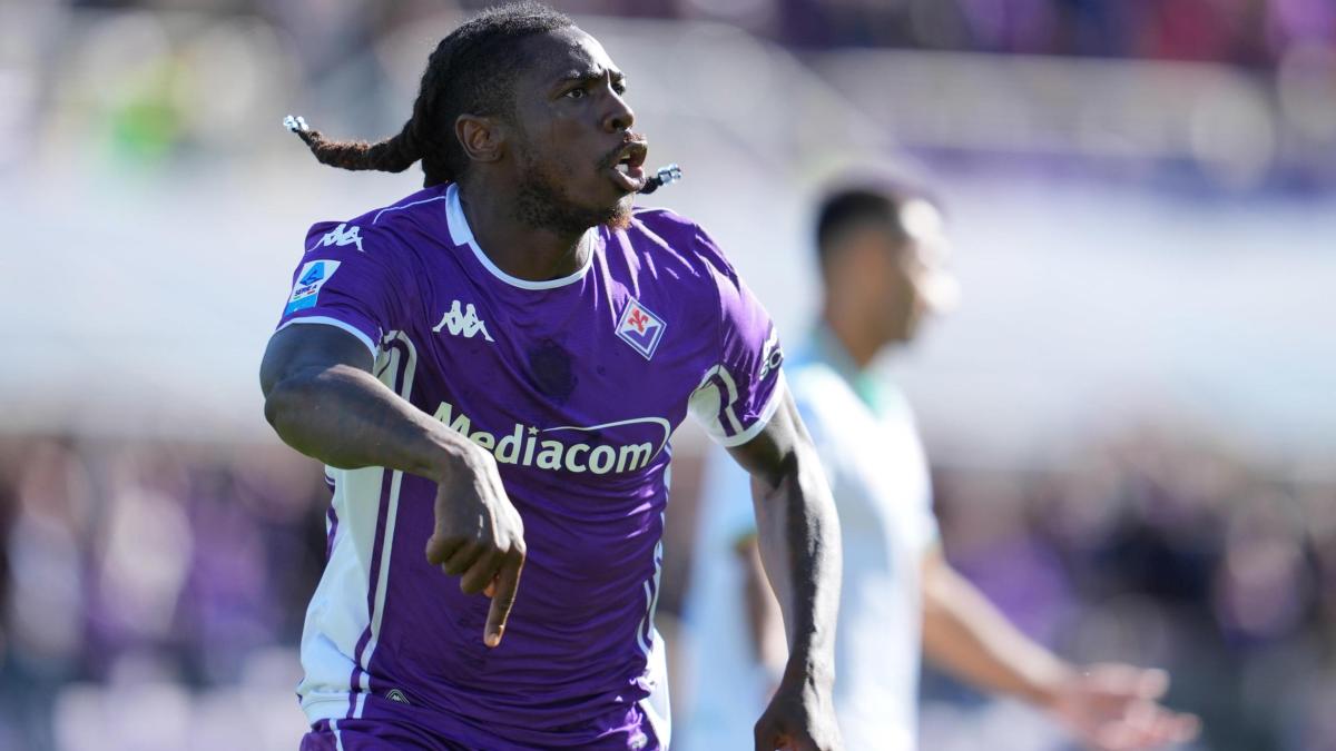 Fiorentina, l