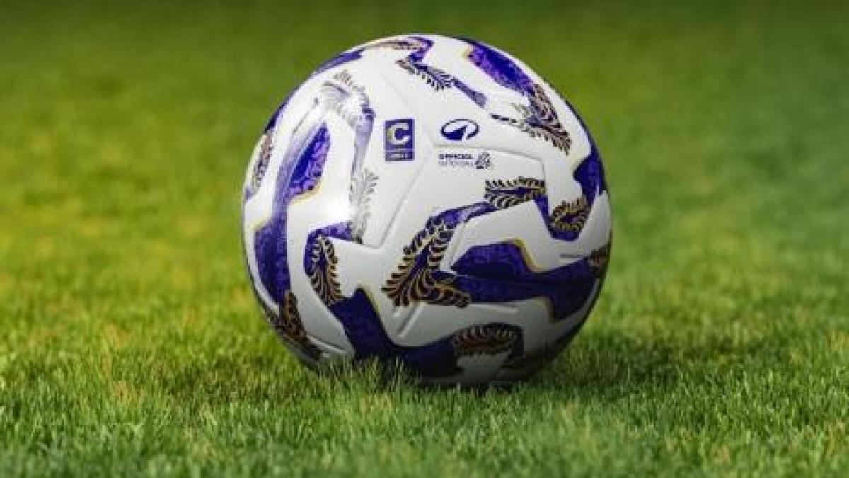 Rimini, crisi senza fine: nuova penalizzazione. Deferita anche la Ternana