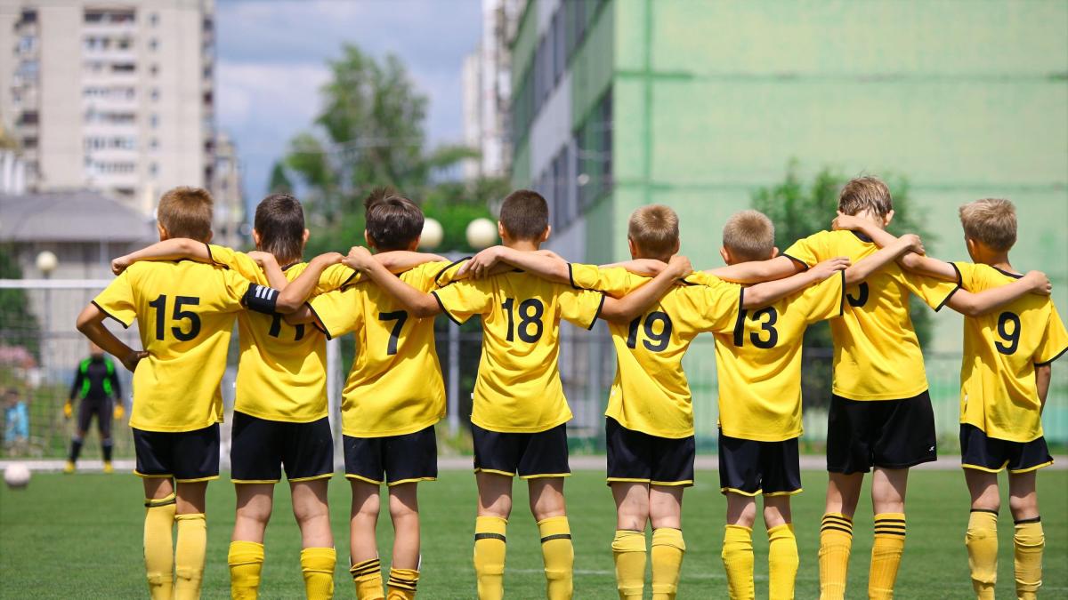 Pallone, quanto mi costi? Così il calcio in Italia è diventato uno sport per ricchi Pallone, quanto mi costi? Così il calcio in Italia è diventato uno sport per ricchi