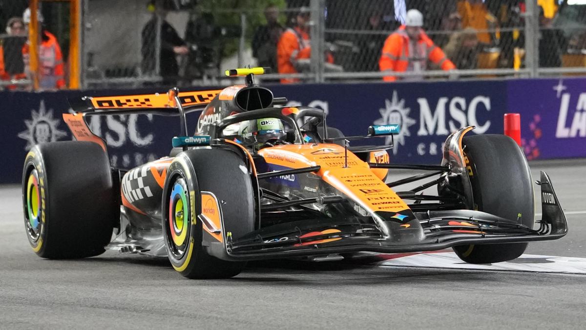 LIVE Alle 17 il GP del Qatar: Piastri in pole, Norris può vincere il Mondiale. Le Ferrari partono dietro