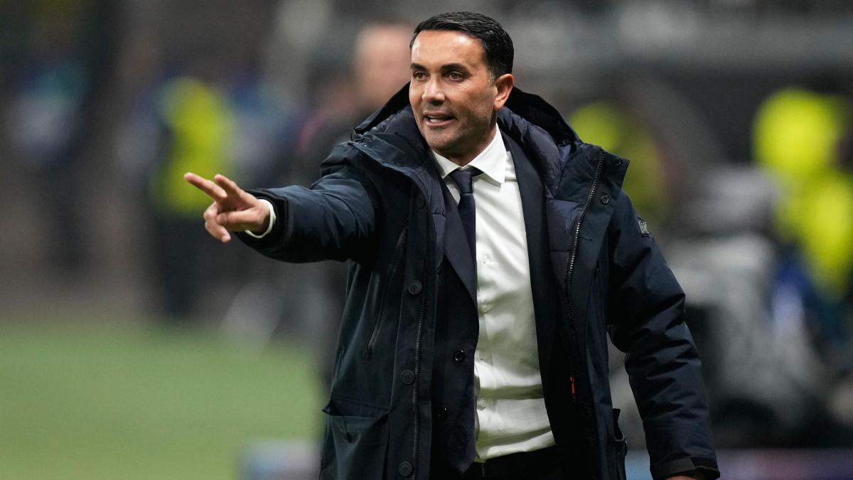 LIVE Alle 18 Atalanta Fiorentina: Palladino ritrova i viola, confermati Scamacca e Lookman