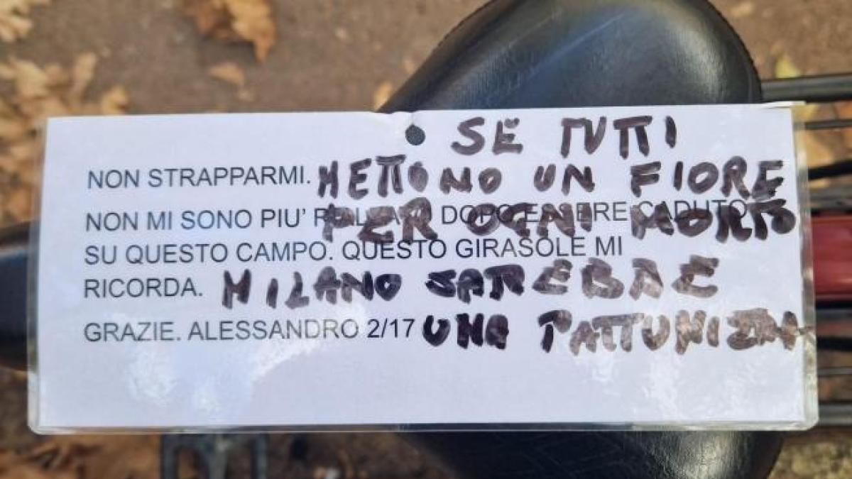 Girasoli per Ale: la reazione di Milano in difesa di una madre