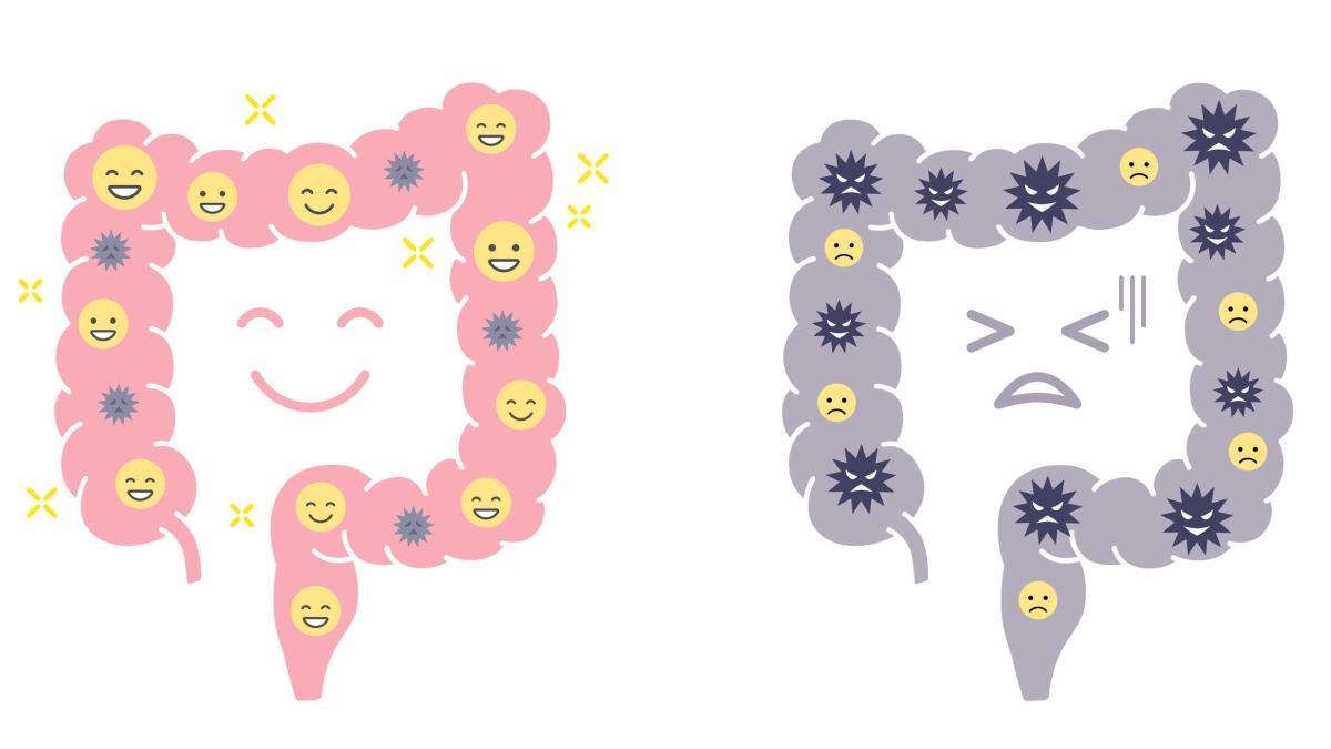 L'invecchiamento dell'intestino si può evitare: la scienza spiega come