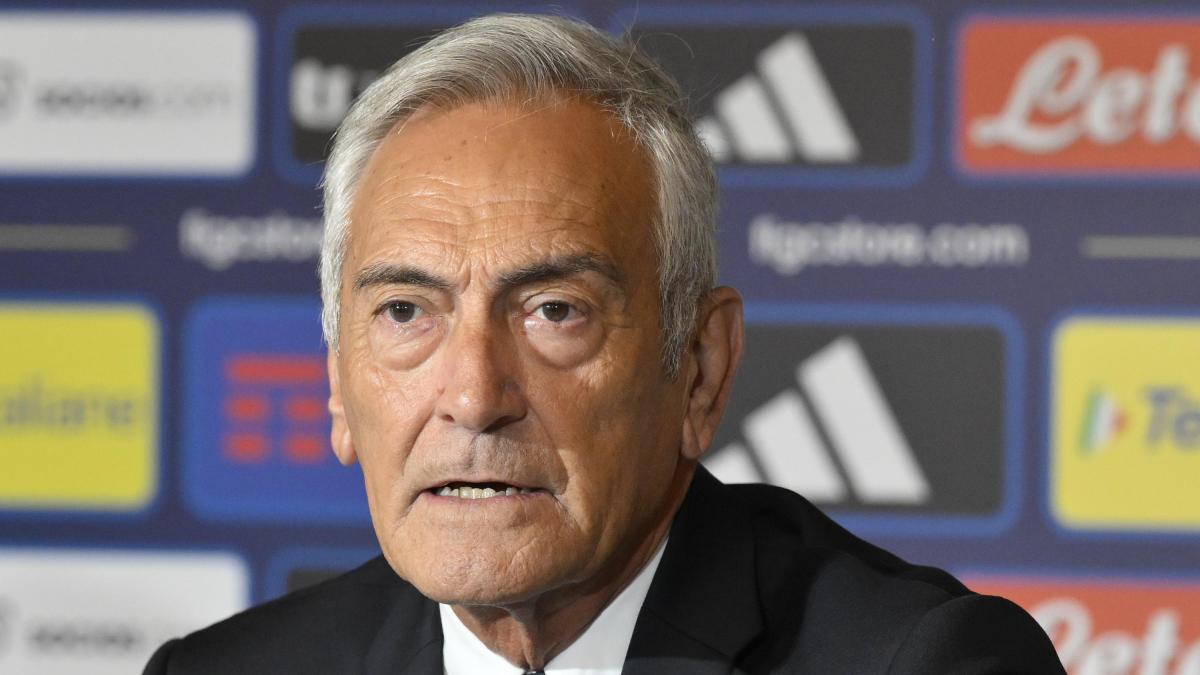 Gravina: "Divieto di trasferte? Punire tutti è una sconfitta. E per la Nazionale niente alibi"