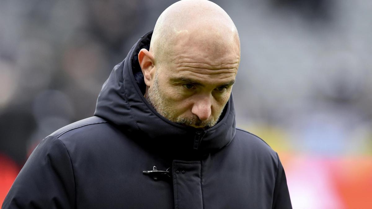 i tecnici italiani che tutti vogliono ma non in italia