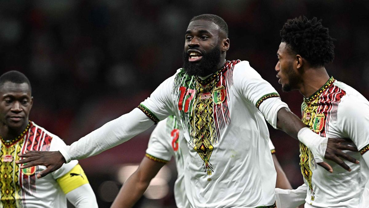 Coppa d'Africa: da Sinayoko a Kotto, 4 nomi per la Serie A