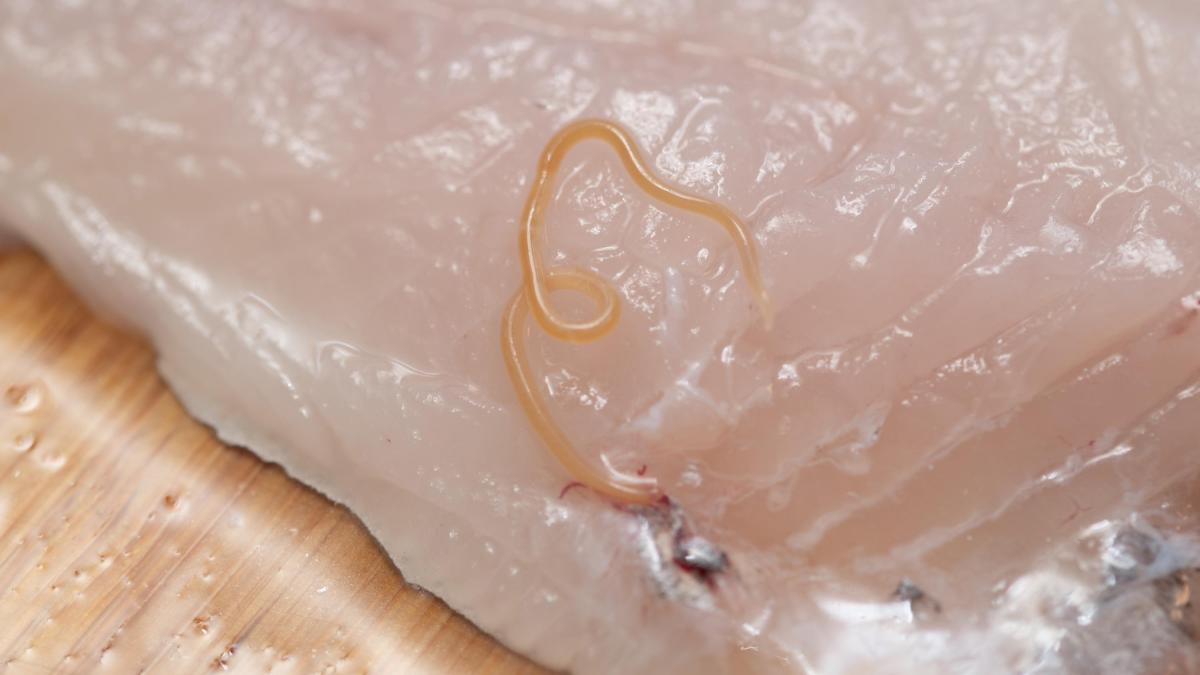 Pesce crudo e rischi per la salute: dall