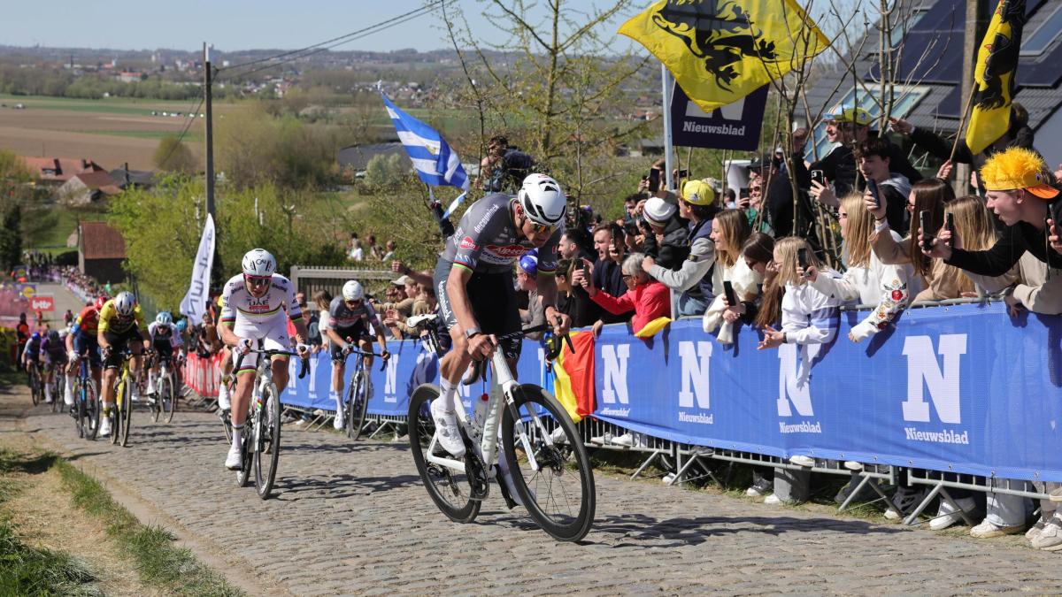 scatta in belgio la stagione del nord con van der poel parto sempre per vincere da Gazzetta.it scatta in belgio la stagione del nord con van der poel parto sempre per vincere