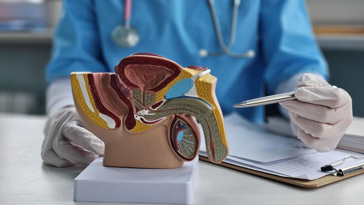 tumore alla prostata una nuova cura col laser pu242 sostituire il classico intervento chirurgico