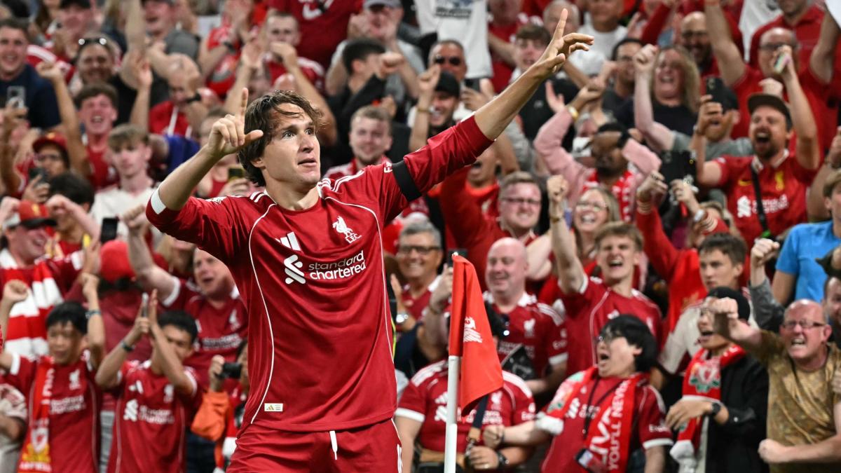 Chiesa a Liverpool? Poco campo, tanto amore, tutti i ruoli. Perché Gattuso l'ha chiamato