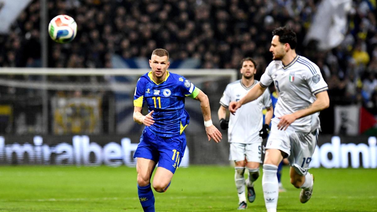 Bosnia al Fantacampionato Mondiale: titolari, rigorista, pos