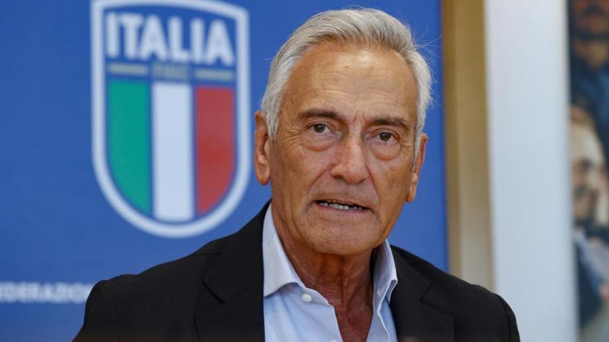 Gravina: "Gattuso deve restare. Mie dimissioni? Deciderà il Consiglio Federale"