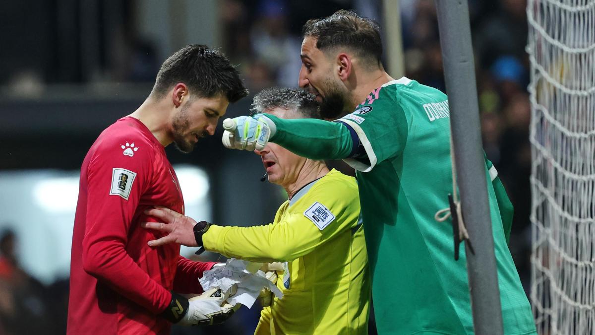 Gigio, Vasilj e i foglietti dei rigori strappati: la lite a fine Bosnia-Italia, cos'è successo