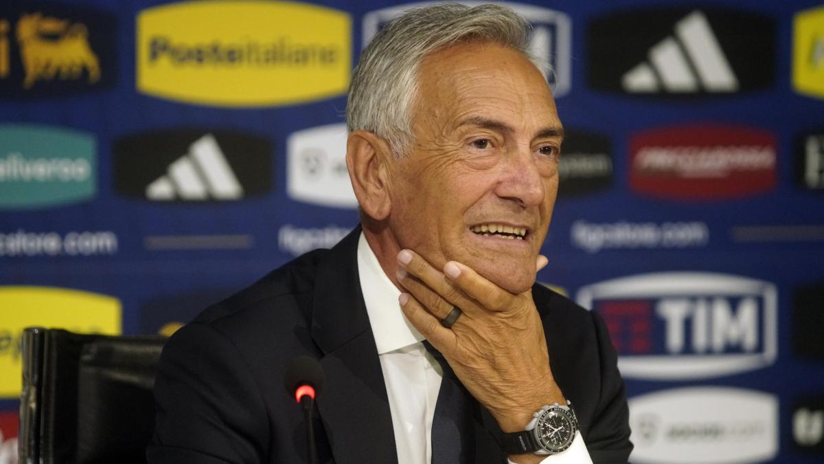 bilancio figc 14 milioni pagati in tasse e ricavi commerciali in crescita