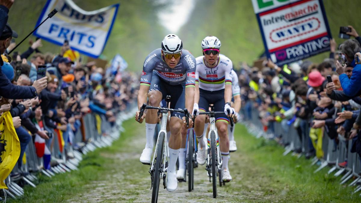 verso la roubaix l inferno della foresta di arenberg e le capre fondamentali