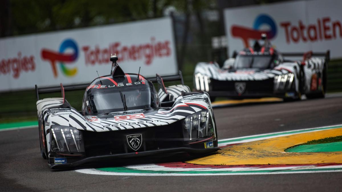 Wec, Peugeot conferma l'impegno fino al 2029. Vettura rinnovata l'anno prossimo