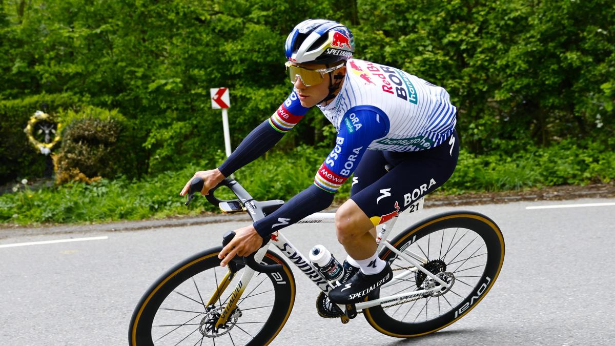 Freccia Vallone, Evenepoel non ci sarà: punta tutto sulla Liegi