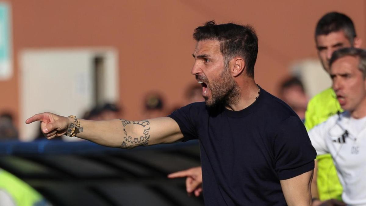 LIVE Alle 12.30 Verona-Como, le ufficiali: Fabregas con Rodriguez. Hellas, davanti c'è Bowie