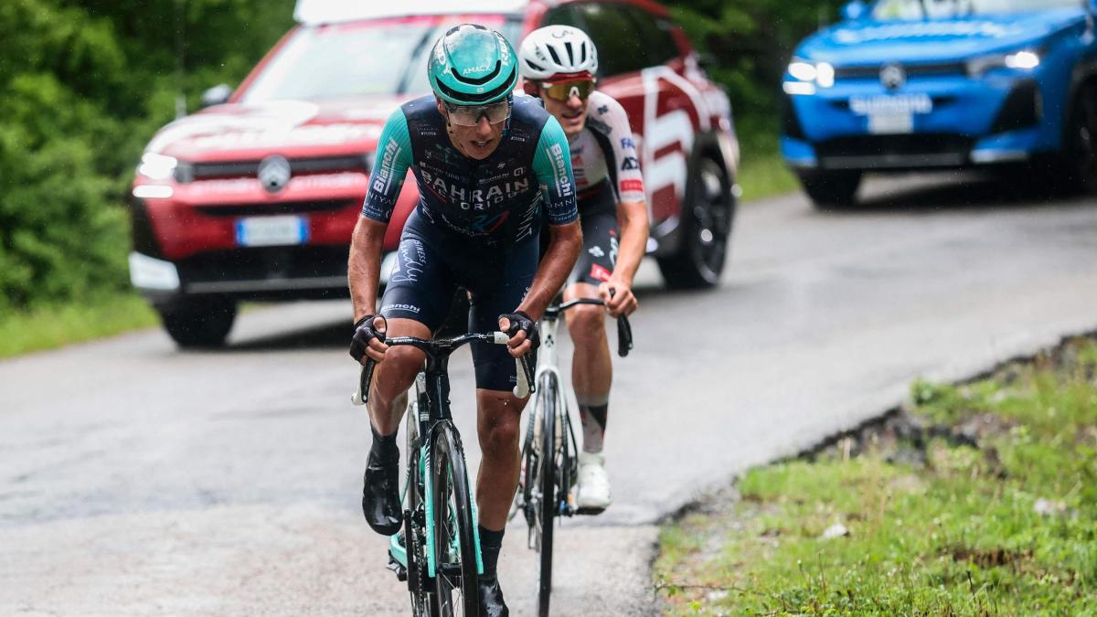 Giro, pagelle 5ª tappa: Eulalio e l'occasione della vita, 8,5. Paletti 7, entra ed esce dal bosco