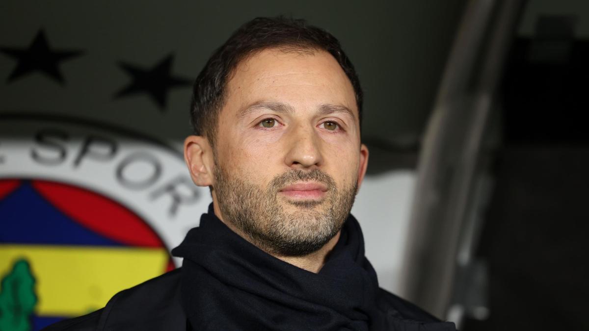 Parla sei lingue, adora Lucio Dalla e allenerà il Bologna: Domenico Tedesco finalmente in Serie A