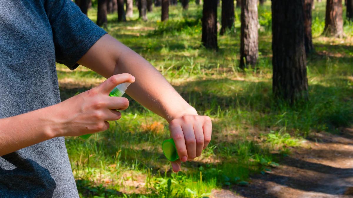 Zanzare: l'effetto boomerang dei repellenti. Invece di respi
