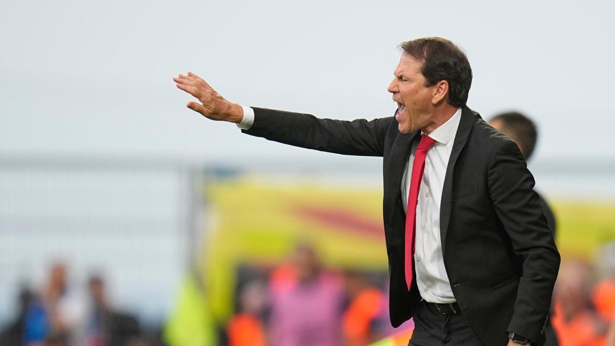 Garcia "l'italiano": "Il Belgio aspetta Lukaku. De Bruyne è il mio genio"