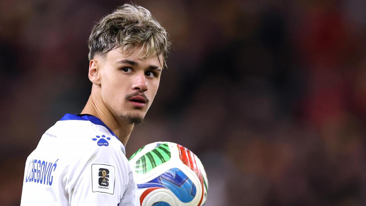 regia milan amorim vuole hjulmand si propone casad242 e in america ibra s 232 innamorato di alajbegovic