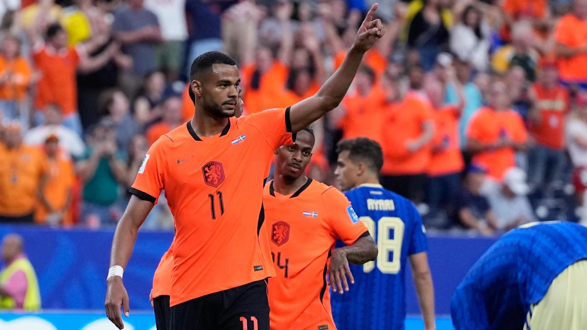fantacampionato mondiale i 3 top e i 3 flop di olanda svezia