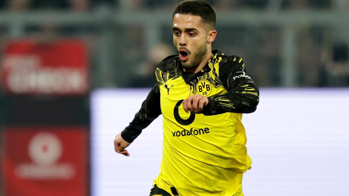 live mercato como 232 fatta anche per yan couto lazio sprint per dominguez da Gazzetta.it live mercato como 232 fatta anche per yan couto lazio sprint per dominguez