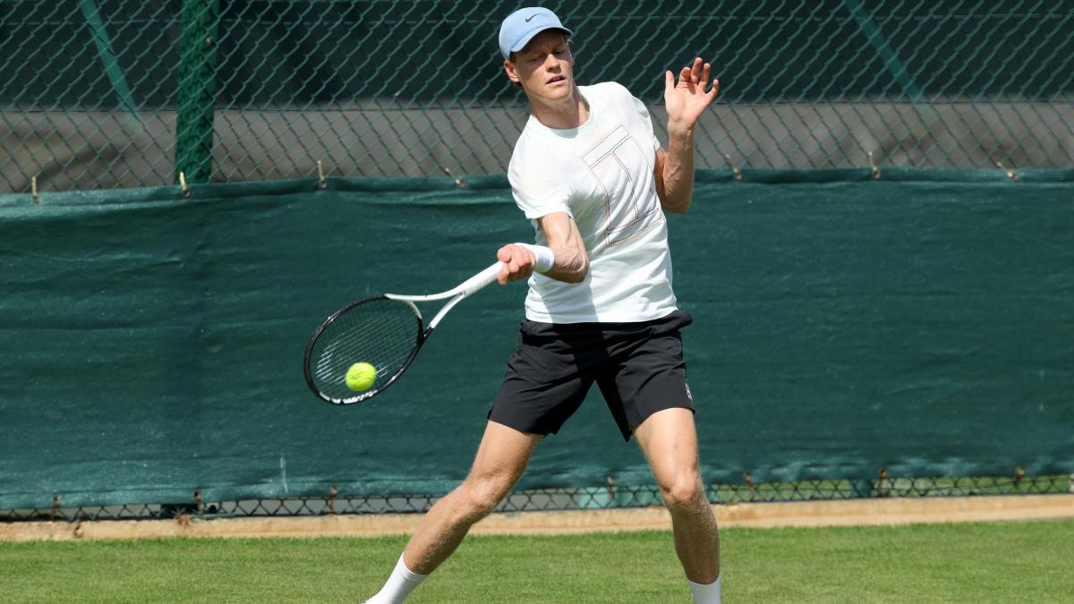 sinner si riparte oggi sfida esibizione con norrie luned236 il debutto a wimbledon