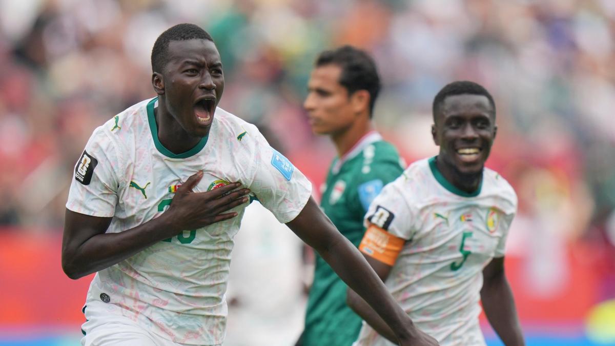 fantacampionato mondiale i 3 top e i 3 flop di senegal iraq