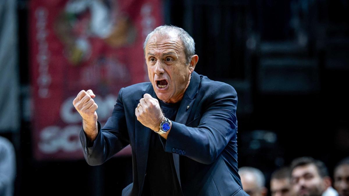 messina grazie armani adesso cerco un opportunit224 tornassi indietro da Gazzetta.it messina grazie armani adesso cerco un opportunit224 tornassi indietro