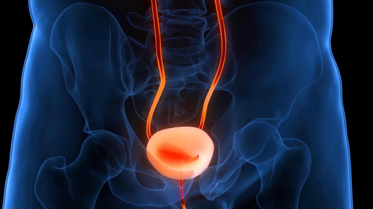 un nuovo test delle urine potrebbe aiutare a curare il cancro alla vescica da Gazzetta.it un nuovo test delle urine potrebbe aiutare a curare il cancro alla vescica