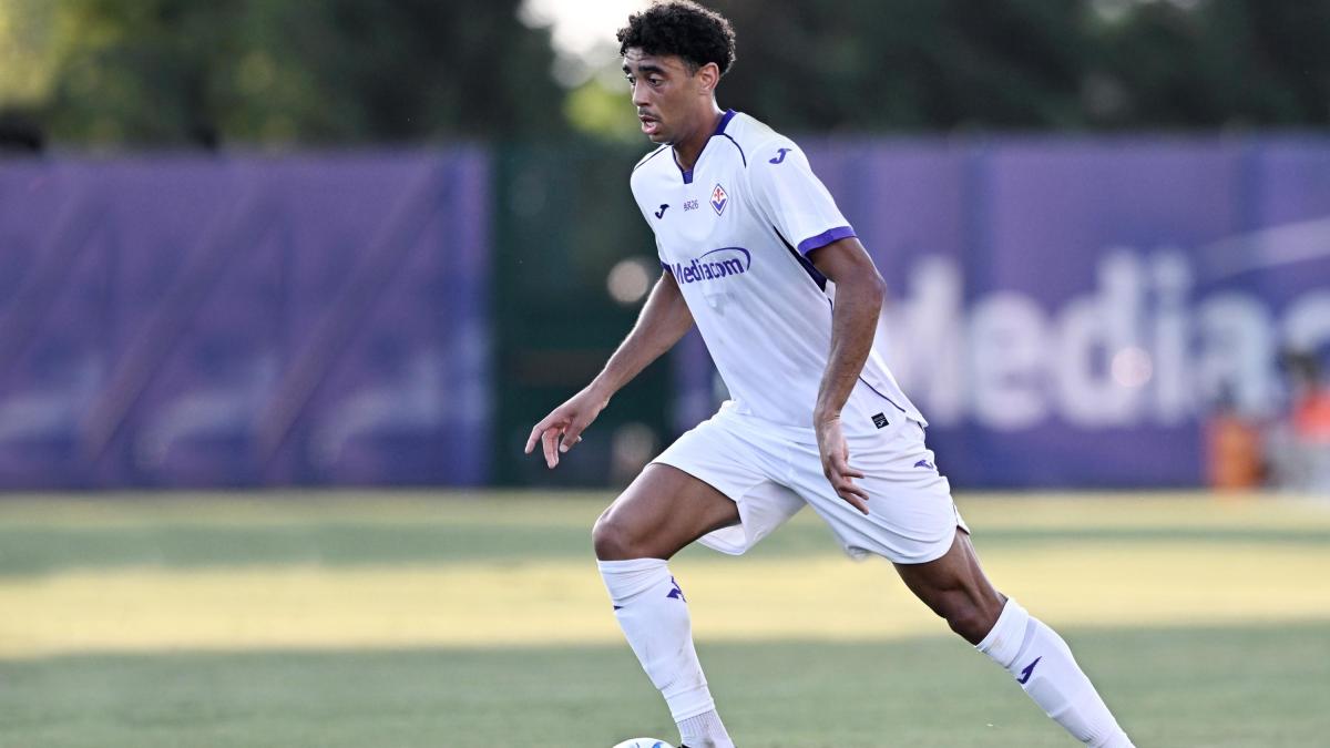 fiorentina le ultime verso la roma atta e mandragora in dubbio conferma dal 1 per valdepenas da Gazzetta.it fiorentina le ultime verso la roma atta e mandragora in dubbio conferma dal 1 per valdepenas