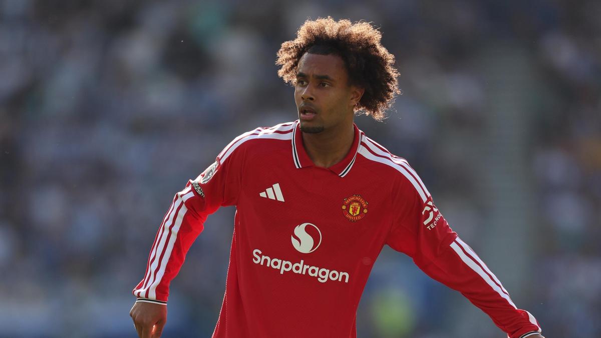 david oltre all atletico c 232 anche il paris fc se parte la juve stringe per zirkzee i dettagli da Gazzetta.it david oltre all atletico c 232 anche il paris fc se parte la juve stringe per zirkzee i dettagli