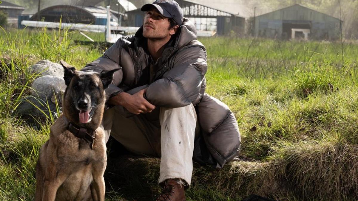 the dog stars 8211 le stelle dopo la fine esce il film di ridley scott girato in italia