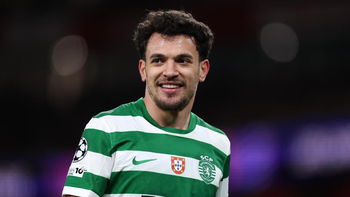 pedro gon231alves fiorentina ruolo quotazione fantacalcio e statistiche