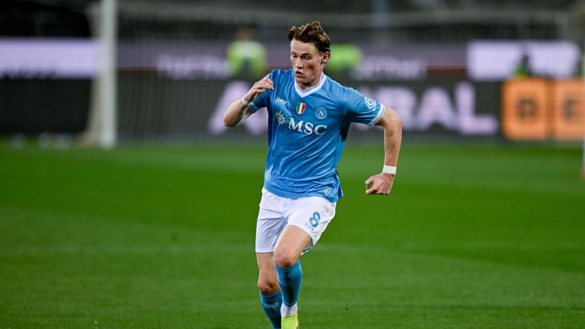 mctominay napoli parte la trattativa per il rinnovo servono 7 milioni da Gazzetta.it mctominay napoli parte la trattativa per il rinnovo servono 7 milioni