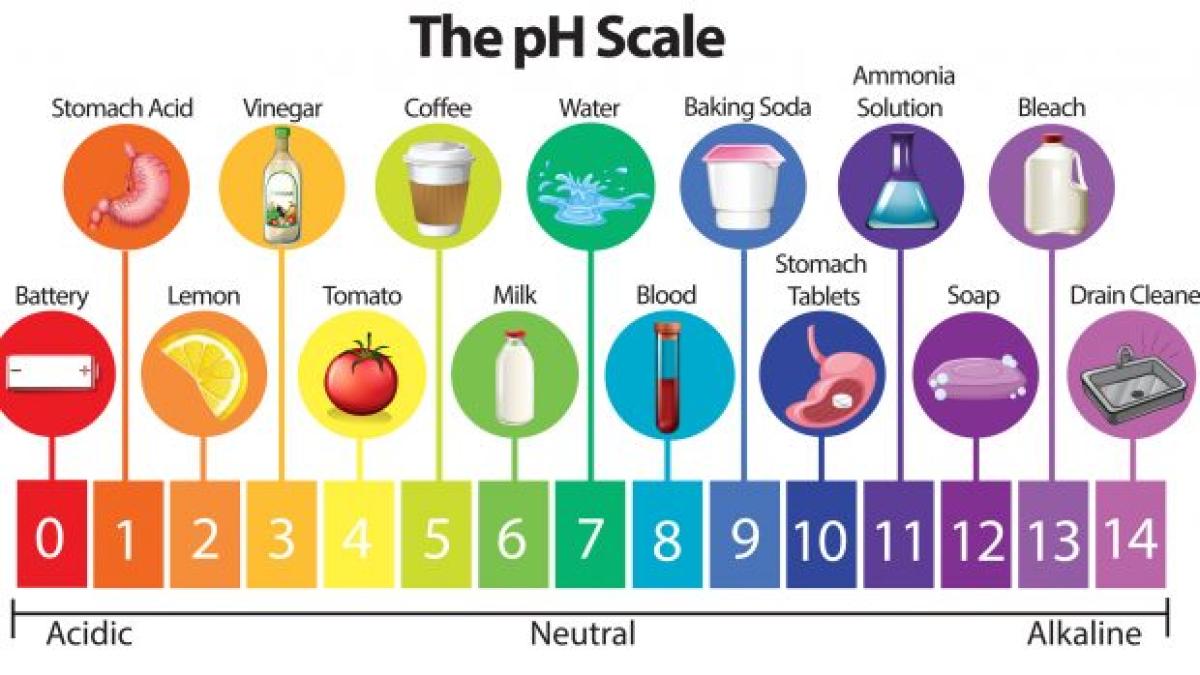 Acidosi Metabolica Nello Sportivo: Sintomi, Cura E Ruolo Della Dieta ...