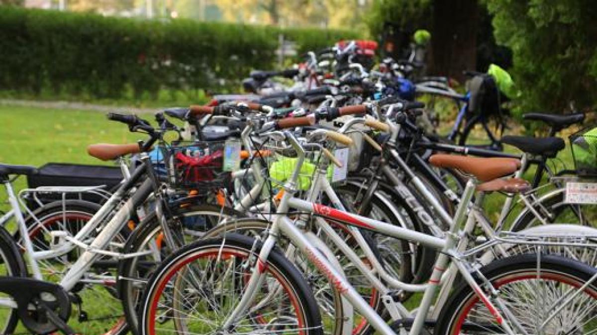 Bonus mobilità, il 3 novembre 2020 sarà attiva la piattaforma web: come  chiedere il rimborso o il voucher