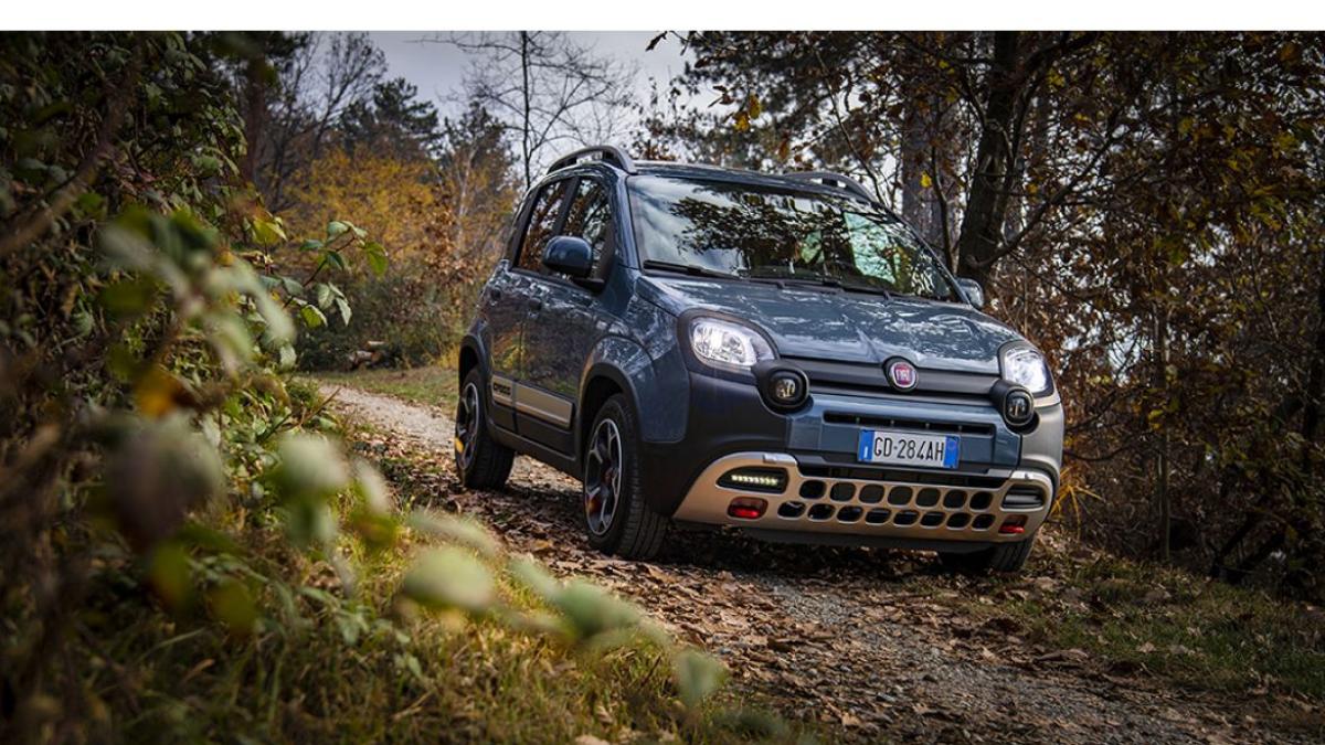 Il mito.. FIAT PANDA 4X4 141.. vediamo assieme alcuni lavori che andremo ad  eseguire. 