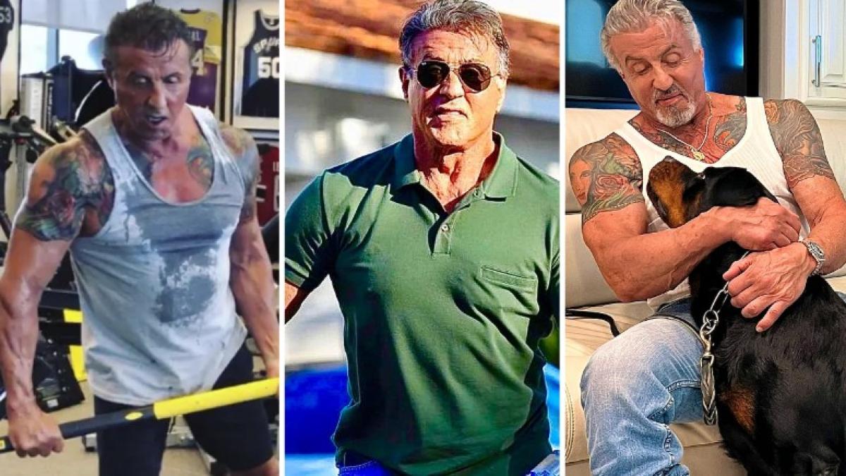 Sylvester Stallone today has a top physique at 76 with the gym and ...