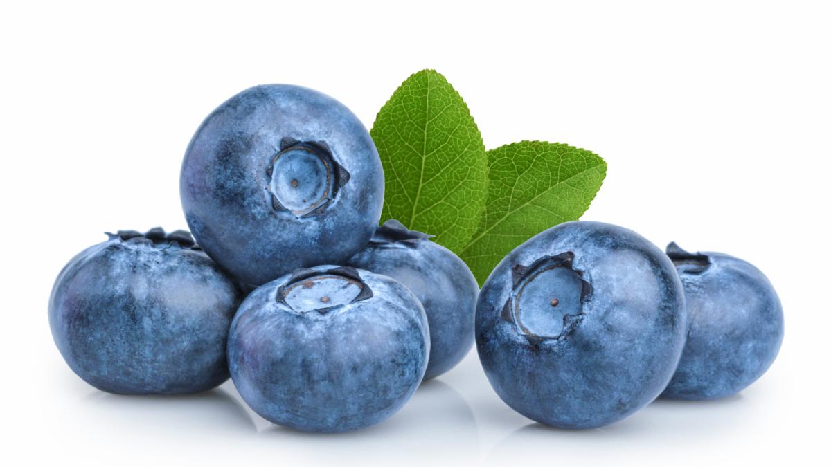 Blueberries calories, properties and benefits. That's why they're good