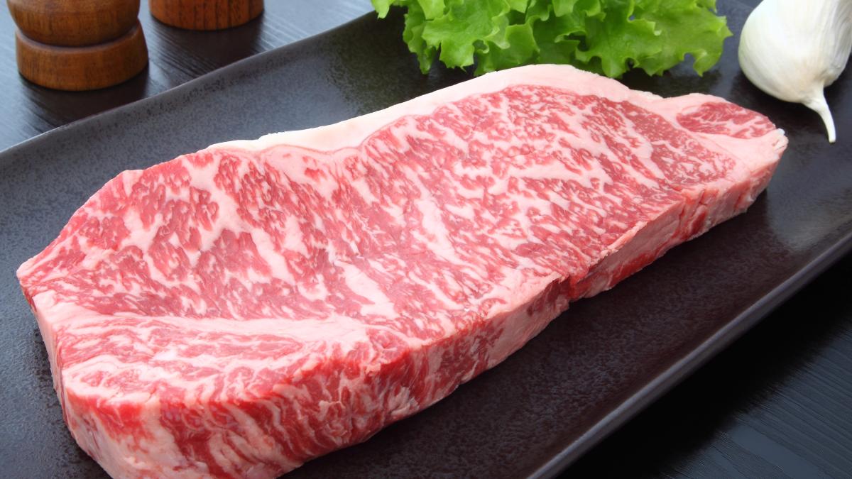 Manzo di Kobe prezzo e caratteristiche della carne giapponese Gazzetta
