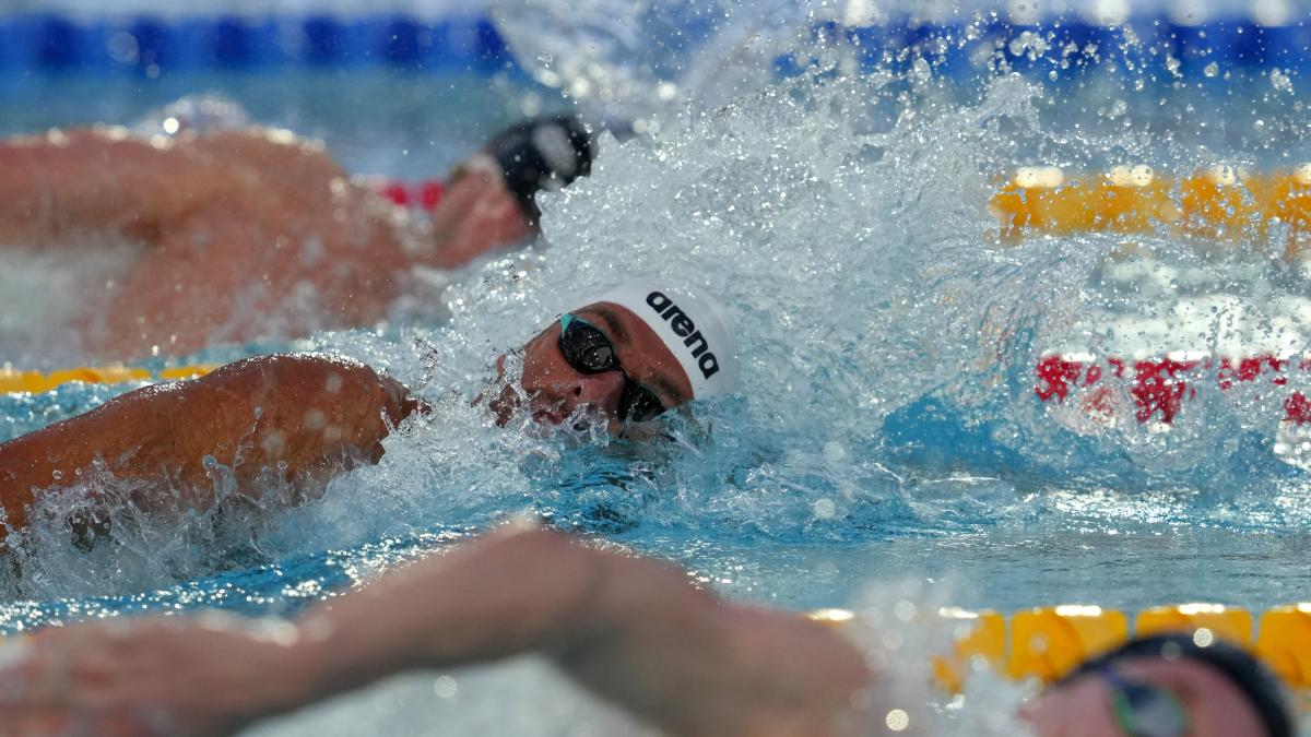 settecolli squillo burdisso curtis e quadarella implacabili e benny va8230 da vasco